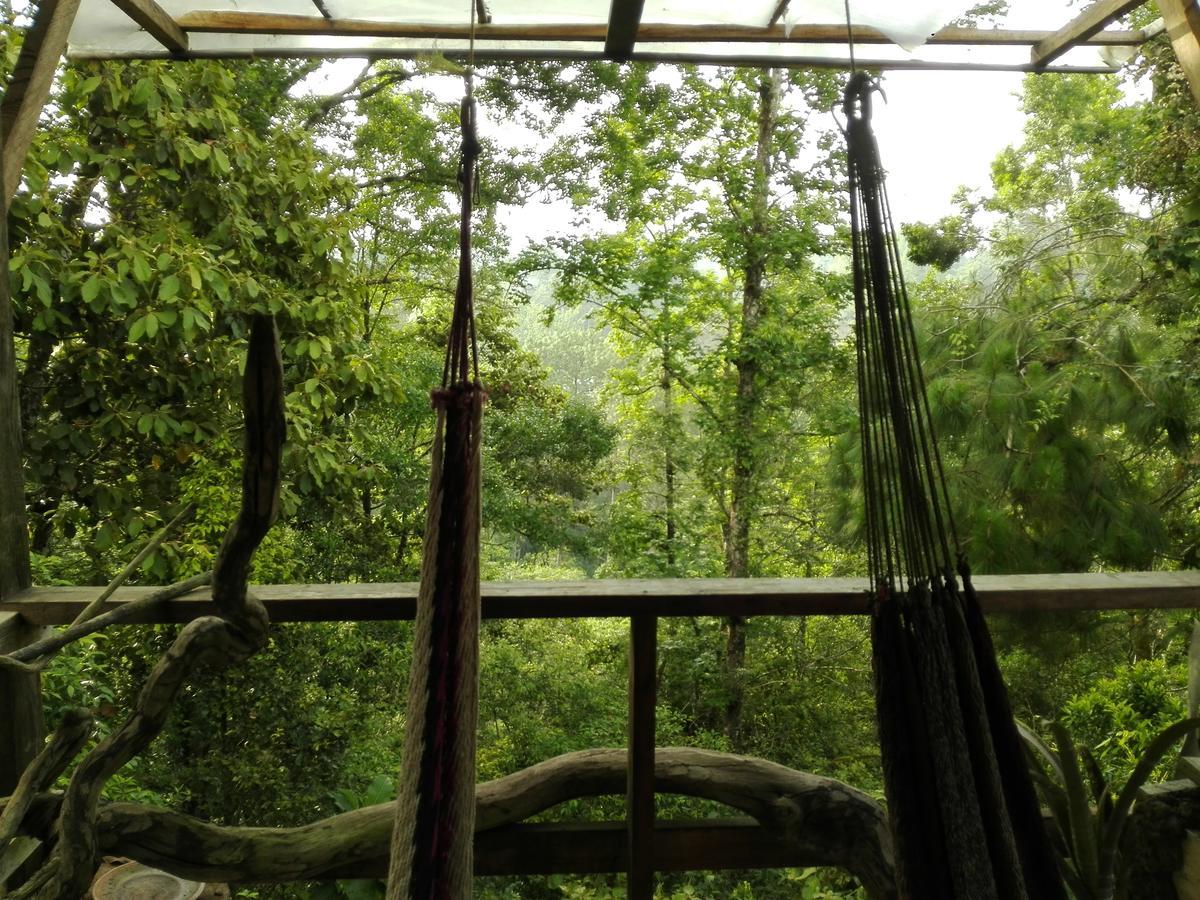 Paraiso Verde Chijou Exteriör bild