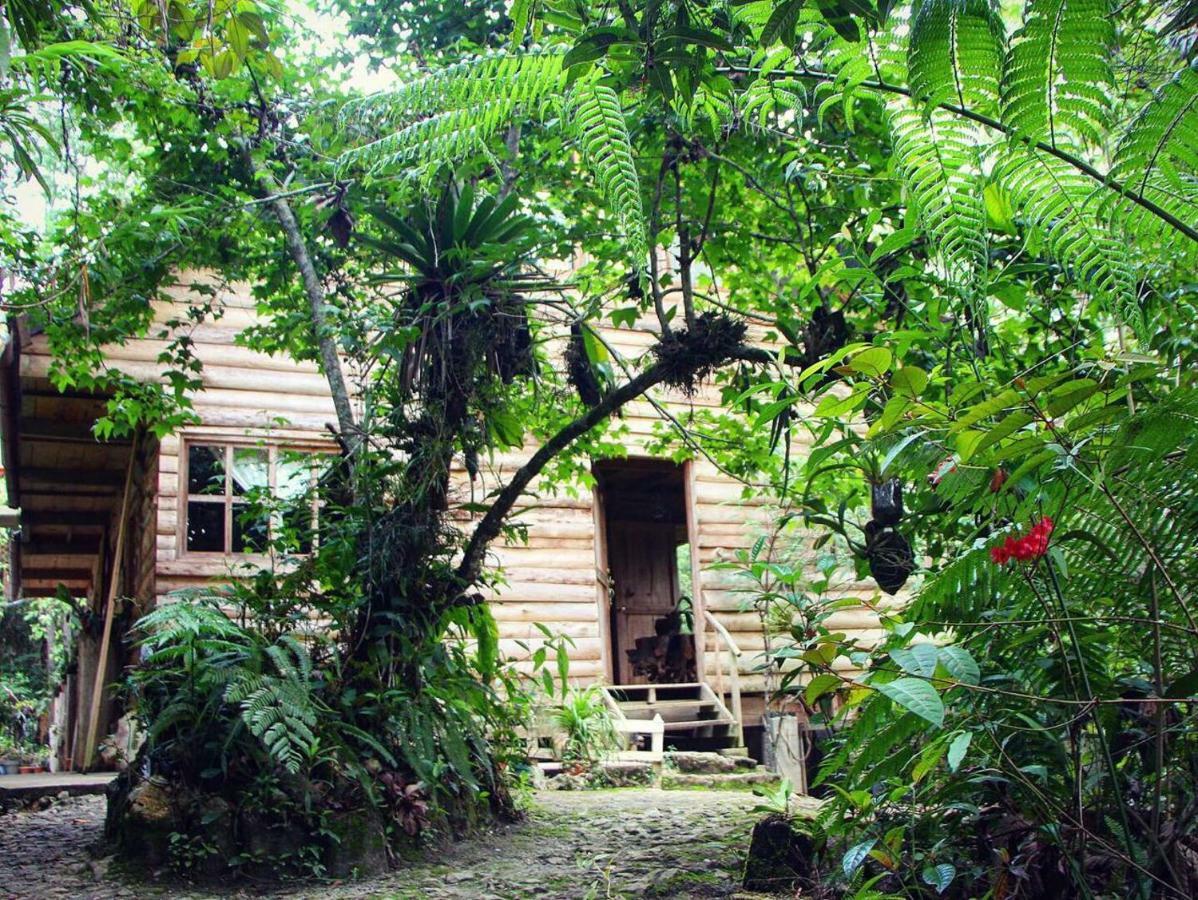 Paraiso Verde Chijou Exteriör bild