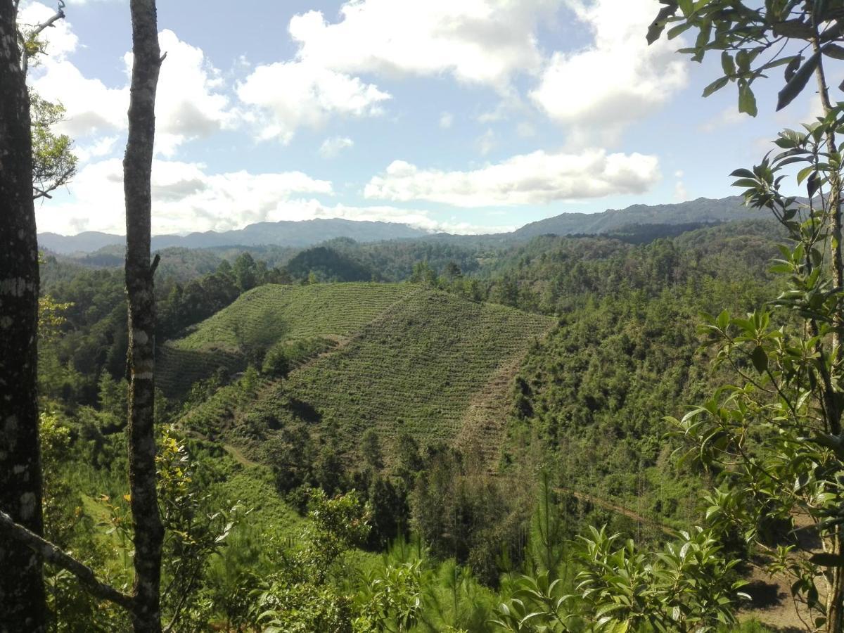 Paraiso Verde Chijou Exteriör bild